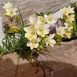 Vannefora 3*